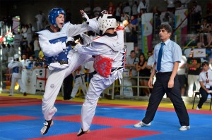 Taekopix_WMG2013_DavidBaugh_0094 (1)